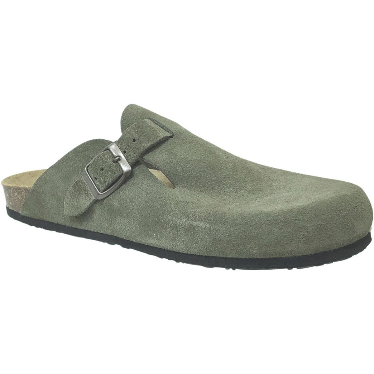 Plakton  Blog  Zelená