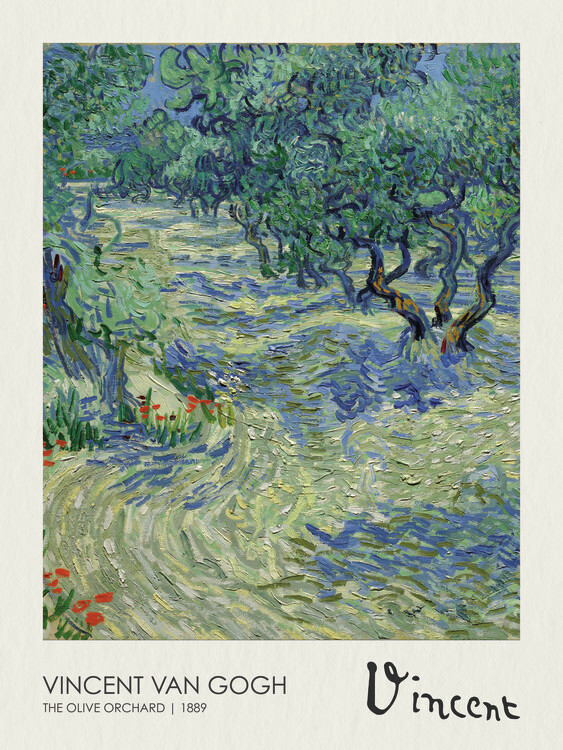 Vincent van Gogh Plakát, Obraz - Olive Orchard (1889), Vincent van Gogh, 30 × 40 cm