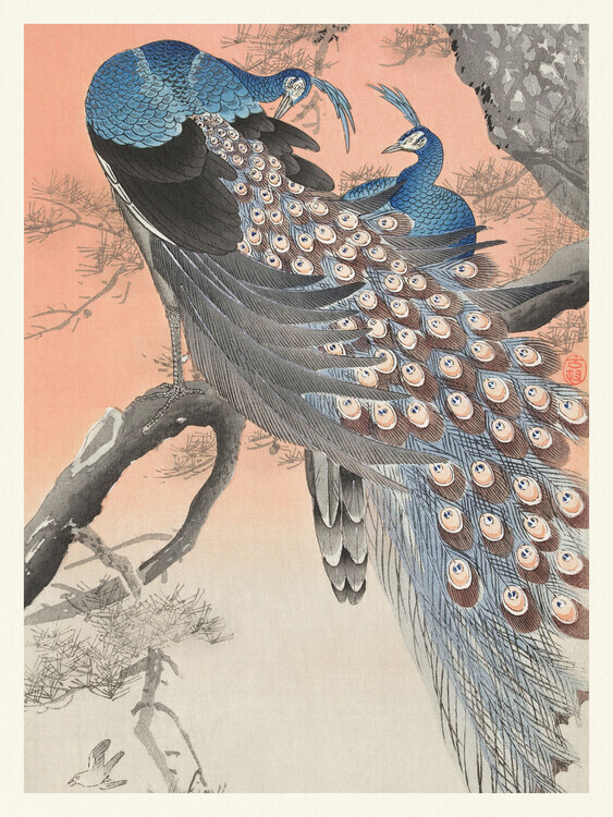 Ohara Koson Plakát, Obraz - Two Peackcoks on a Peach Branch, Ohara Koson, 30 × 40 cm