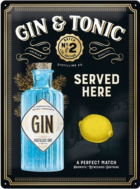 Postershop Plechová cedule Gin & Tonic, 30 × 40 cm