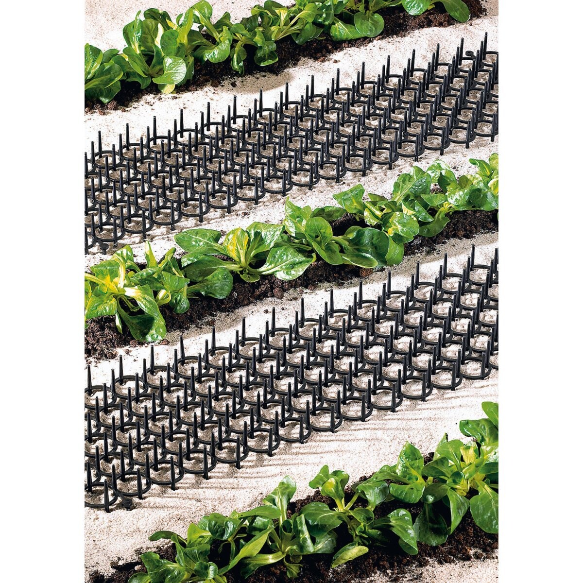 Die moderne Hausfrau Mřížka s trny na záhony