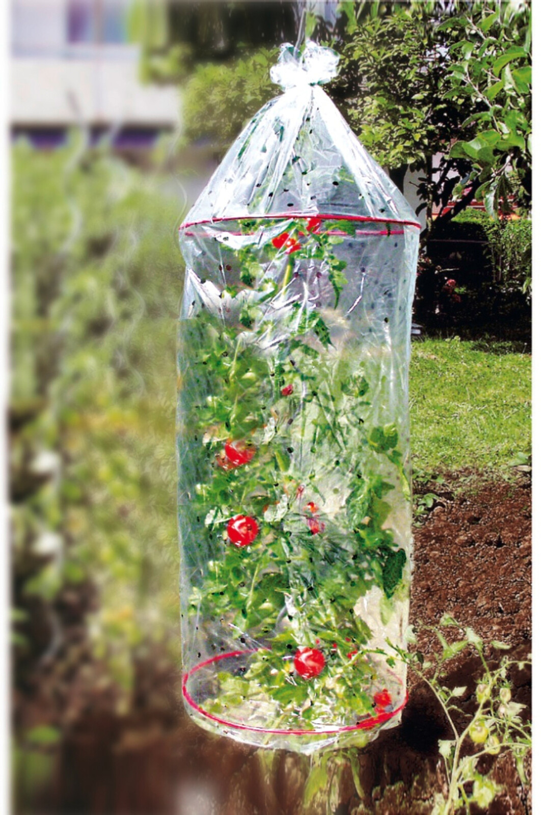 Die moderne Hausfrau Skleník na rajčata, 3 ks