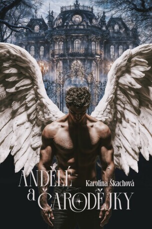 Andělé a čarodějky - Karolína Škachová - e-kniha