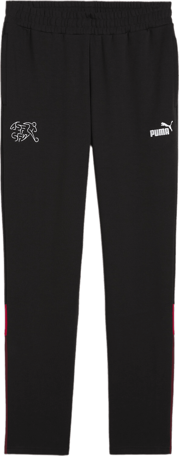 Kalhoty Puma SFV FtblArchive Track Pants