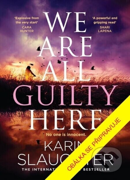 Všichni jsme zde vinni - Karin Slaughter
