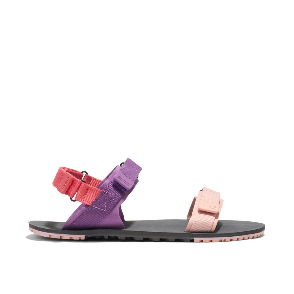 Xero Shoes D-Trail Dewberry Multi Dámské barefoot sandály