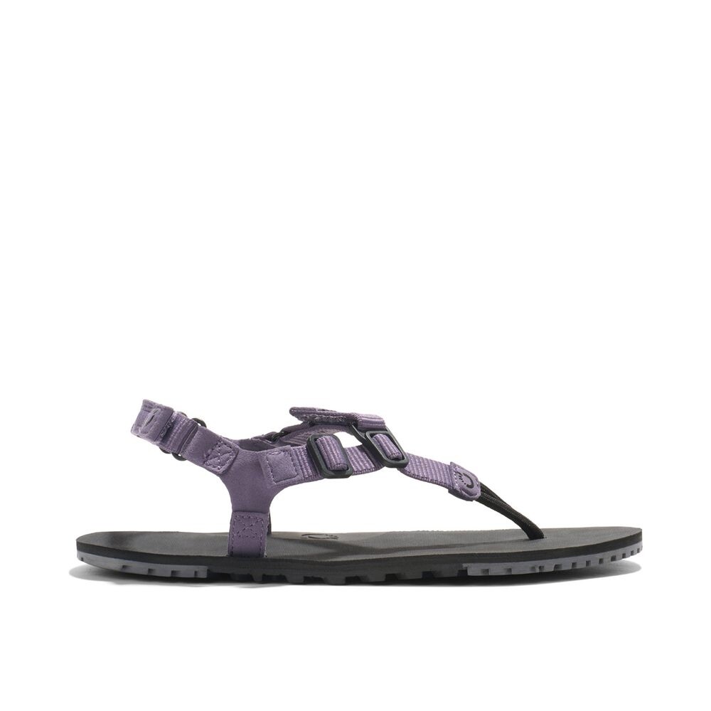 Xero Shoes H-TRAIL Sage Purple Dámské barefoot sandály