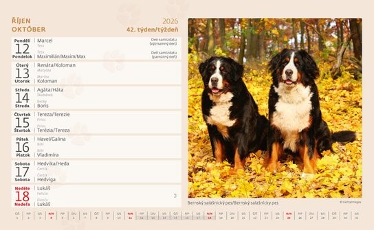 Pejskové 2026 - stolní kalendář