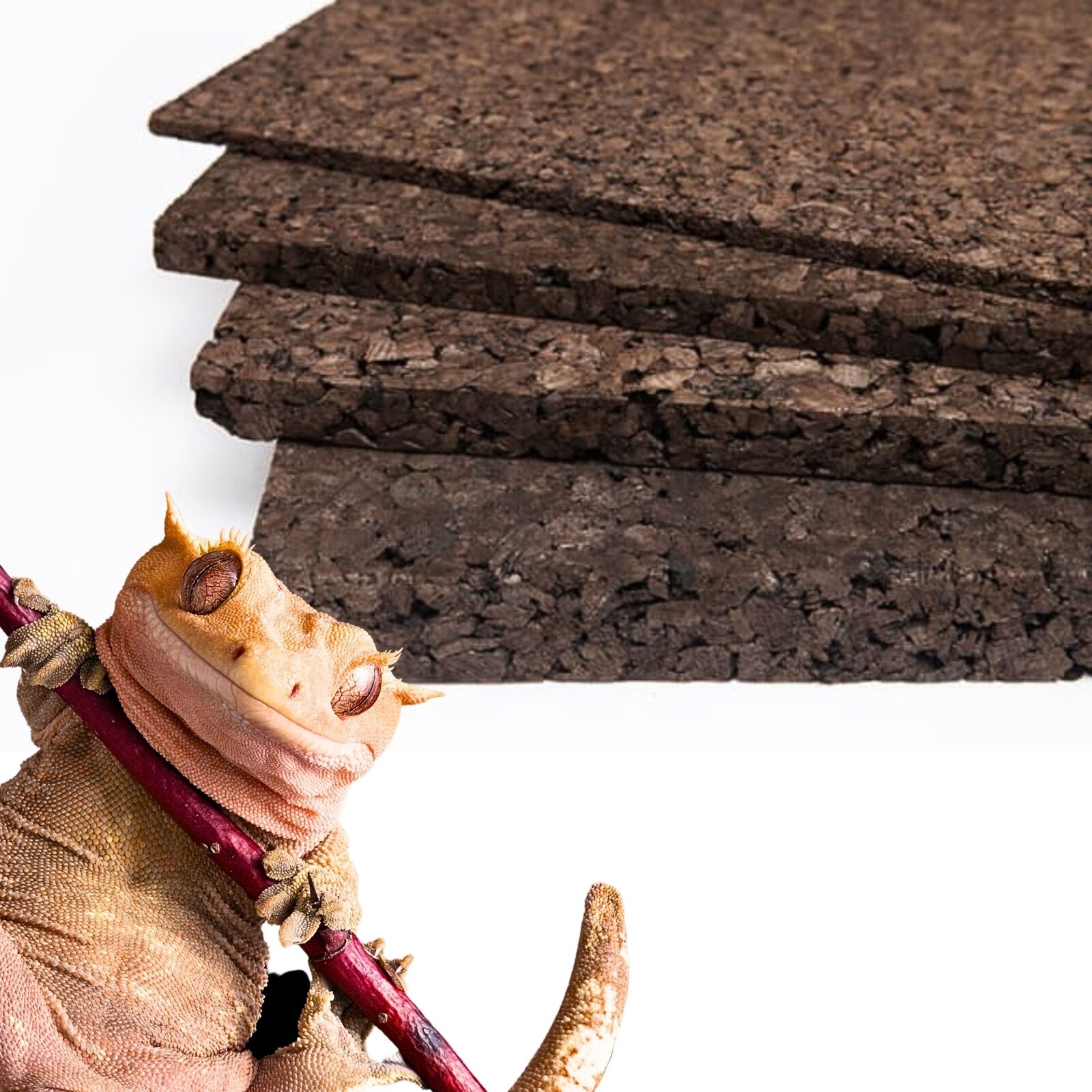 BioCork Dark Background 100x50x3 cm tmavé expandované pozadí