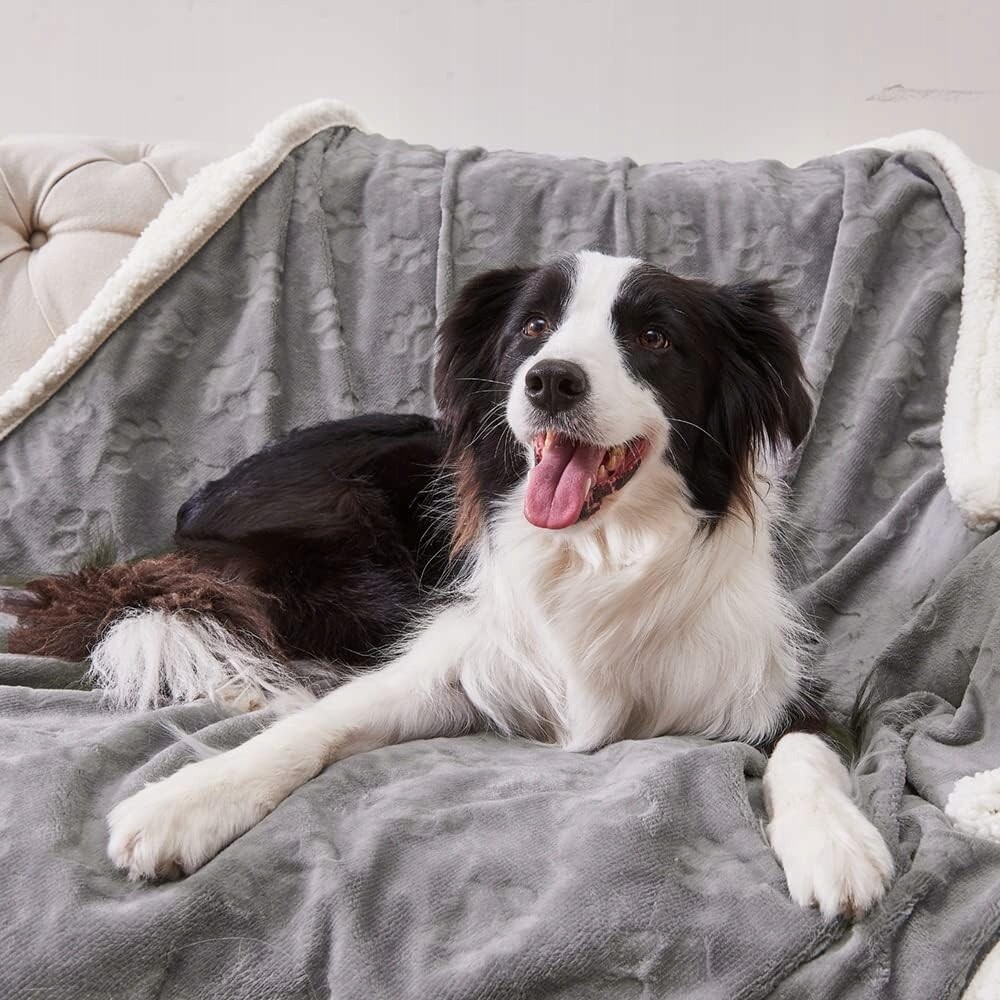 Pelíšek Voděodolný Přehoz Beránek 150x200 Oboustranný Psí A Kočičí Tlapky