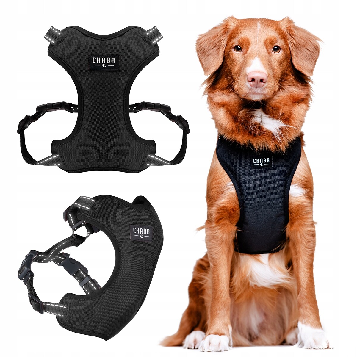 Chaba Postroj Guard Comfort Xs 1,6cm/32-37cm Černý