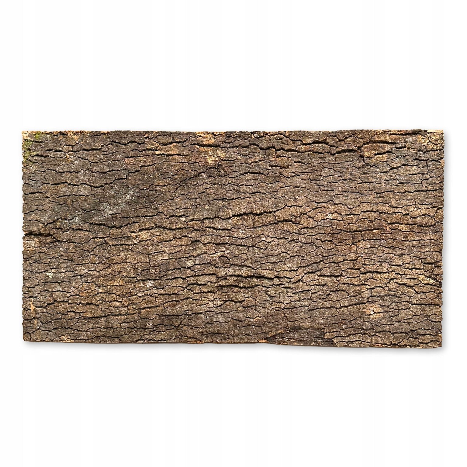 Biovirgin Cork Background Dark 60x30 cm korkové pozadí do terária