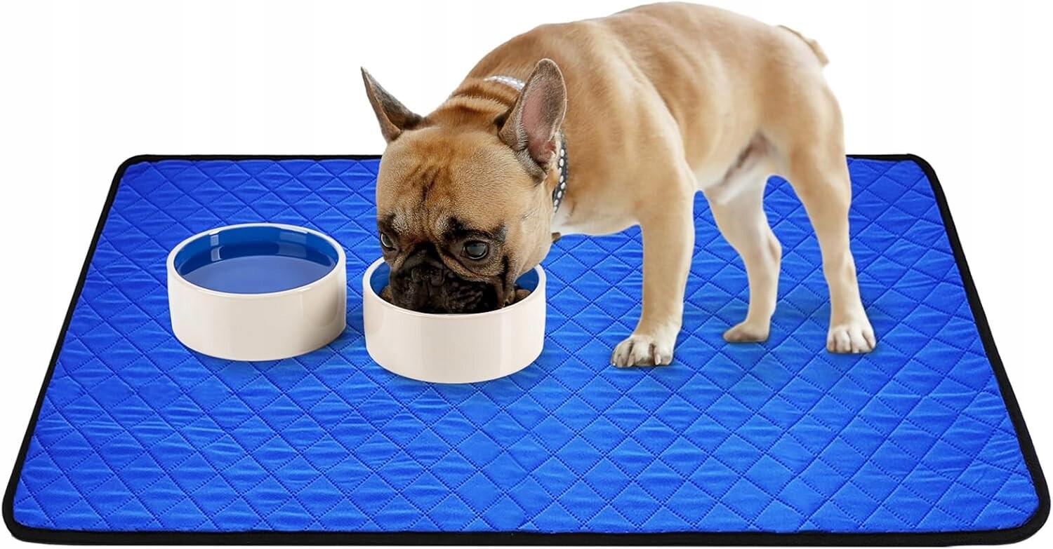 Hygienická podložka pro zvířata Ochrana podlahy pohovky 2 kusy