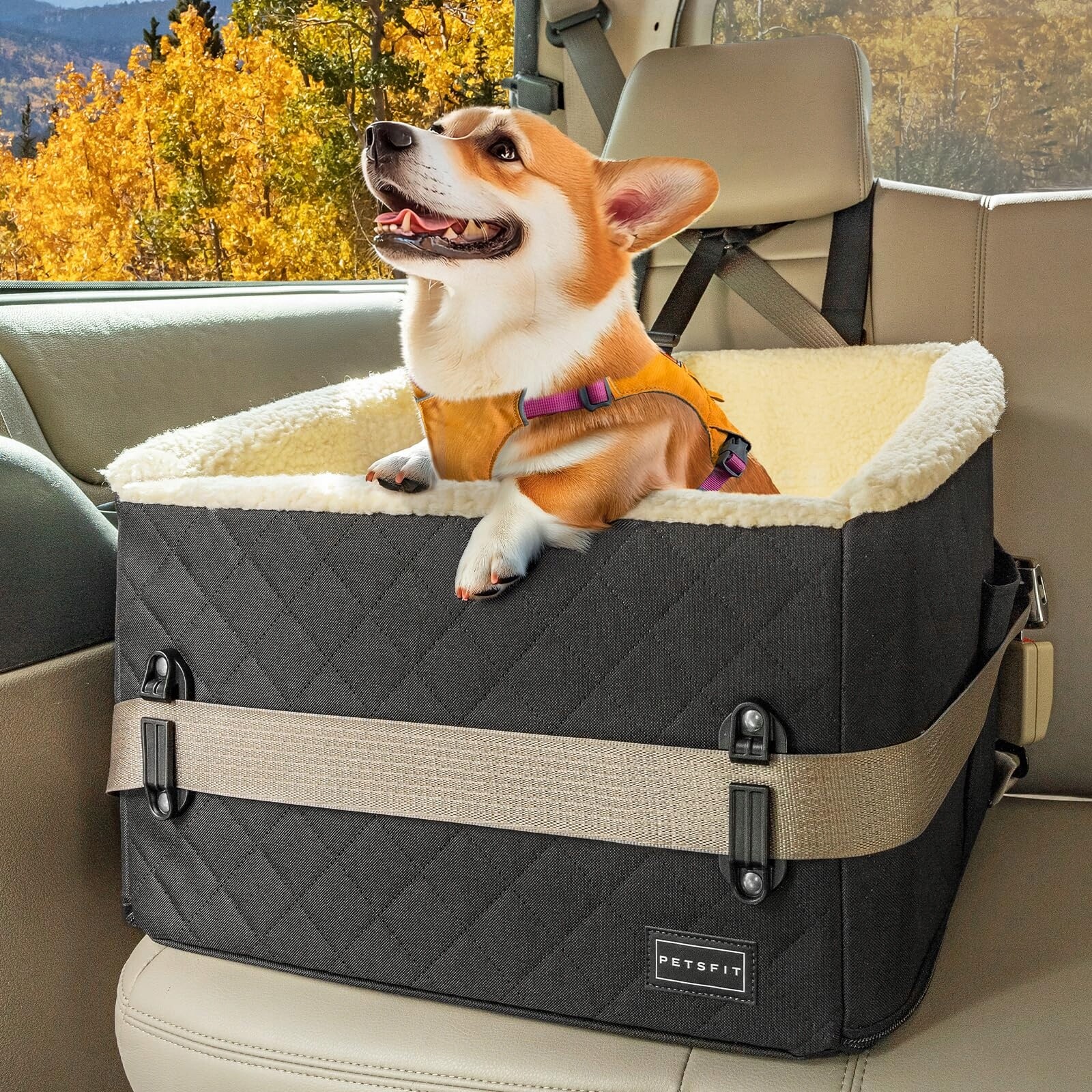 Petsfit Vyvýšená autosedačka pro psy do 12 kg s plyšovým potahem