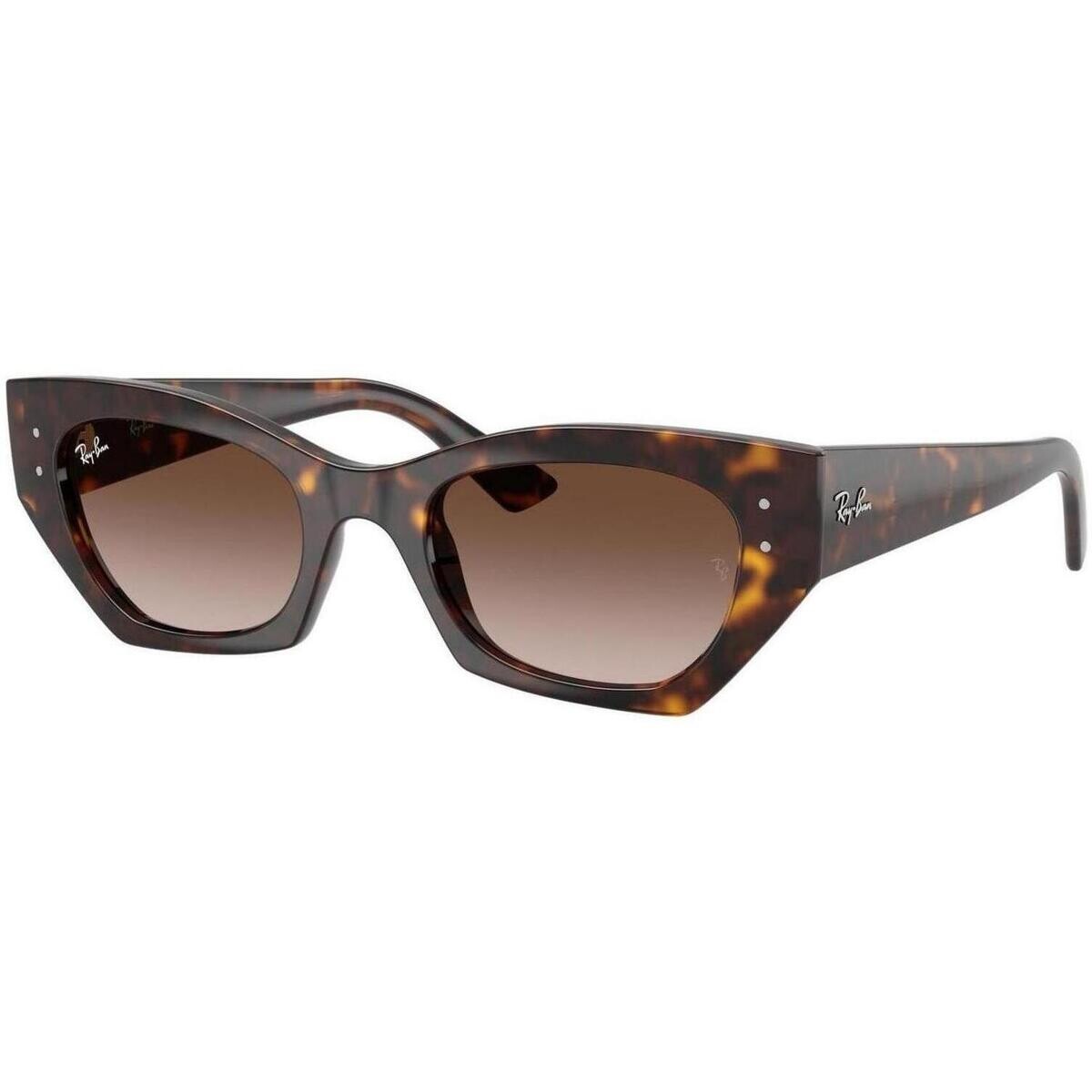 Ray-ban  ZENA UNISEX 0RB4430 135913  Hnědá