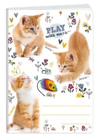 Argus Školní sešit 644 - Play With Me - A6, linkovaný, 40 listů - 1598-0330