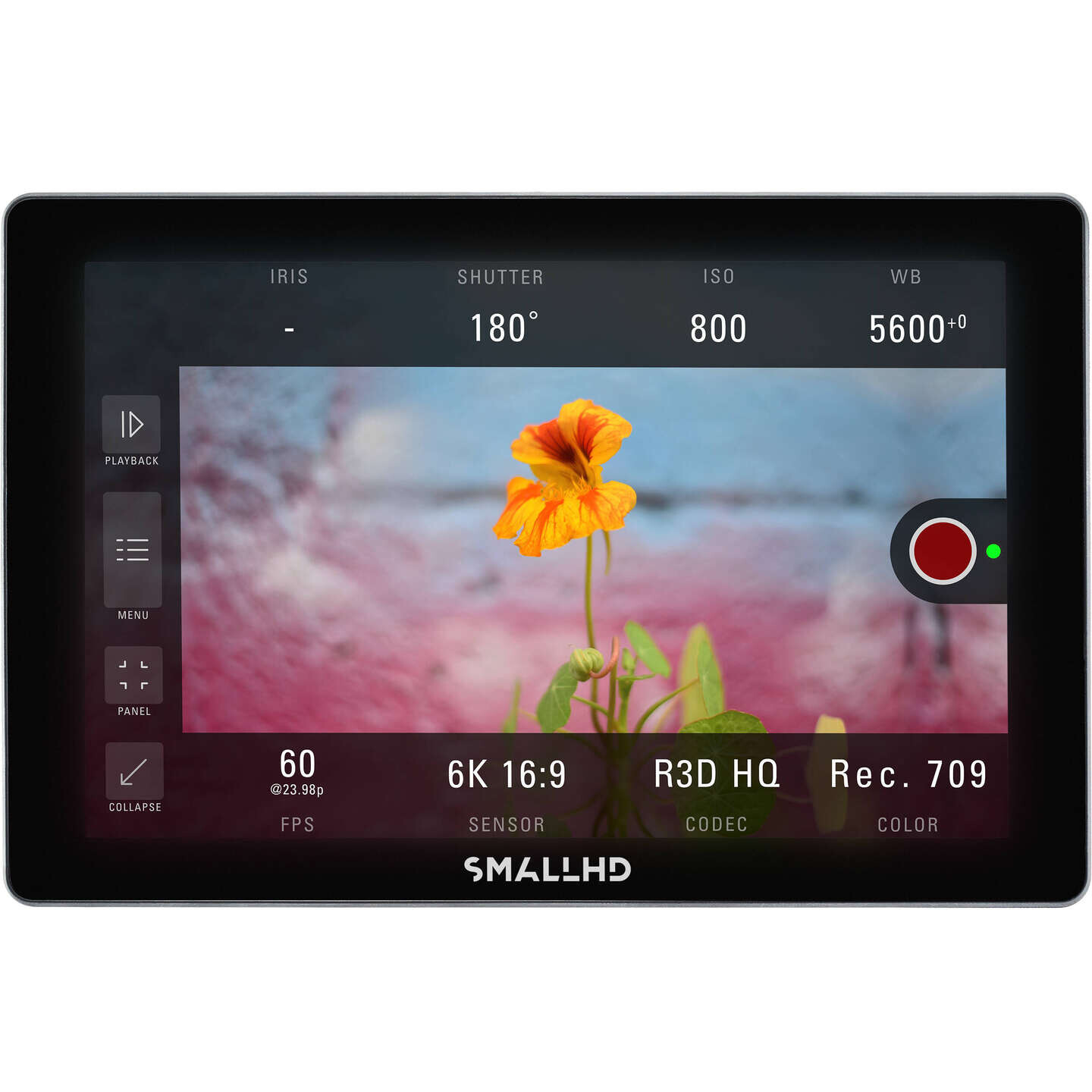 SmallHD Indie 7