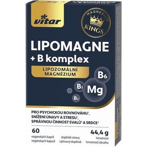 Vitar LIPOMAGNE+B komplex cps.60