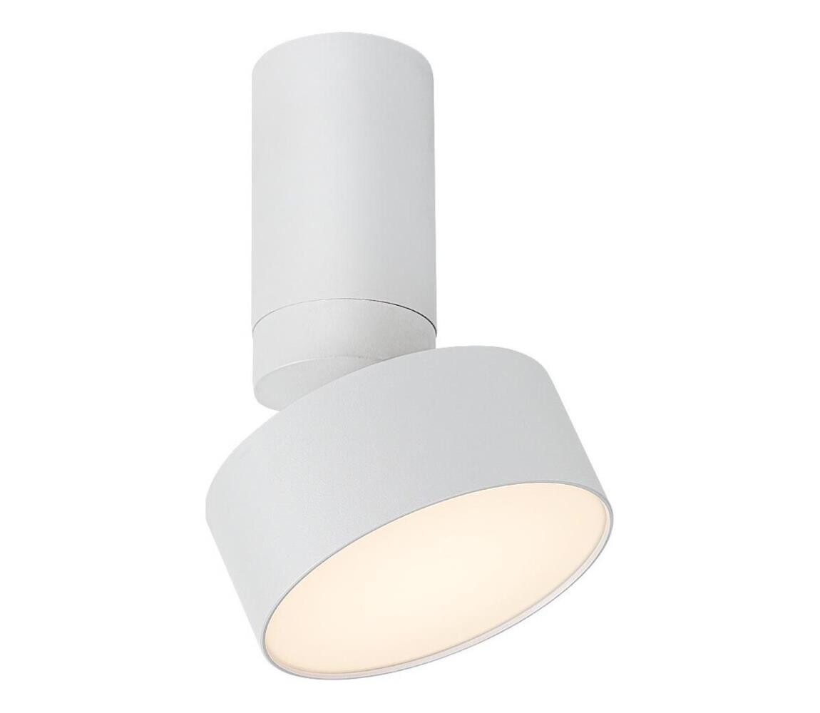 Rabalux Rabalux 71326 - LED Stropní svítidlo OVIDIA LED/10W/230V 3000K bílá