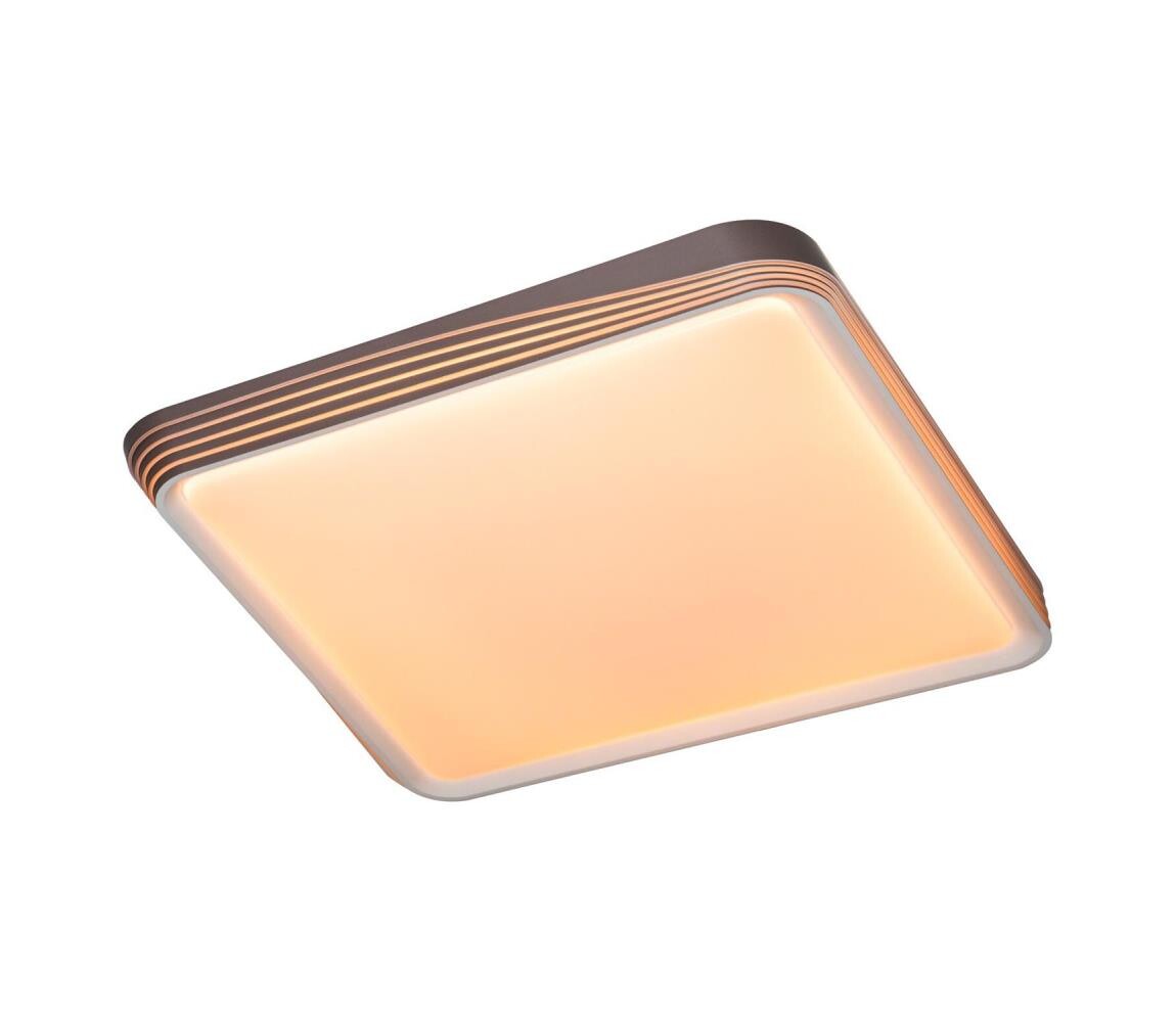 Rabalux Rabalux 71166 - LED Stropní svítidlo DRUZOR LED/40W/230V 3000K