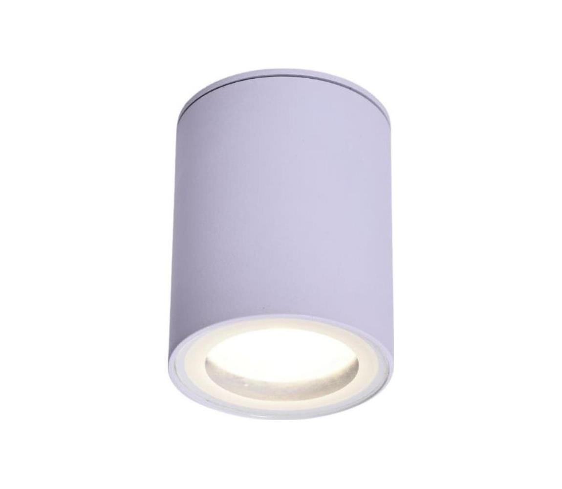 Rabalux Rabalux 71343 - Stropní svítidlo KOVEN 1xGU10/35W/230V bílá