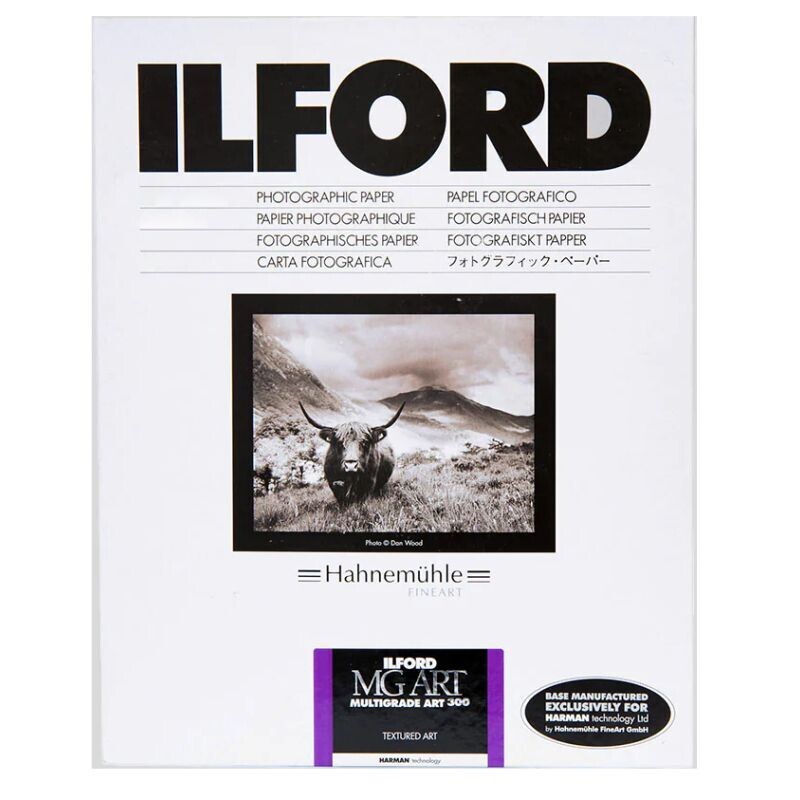 ILFORD MG ART 300 20x25/50