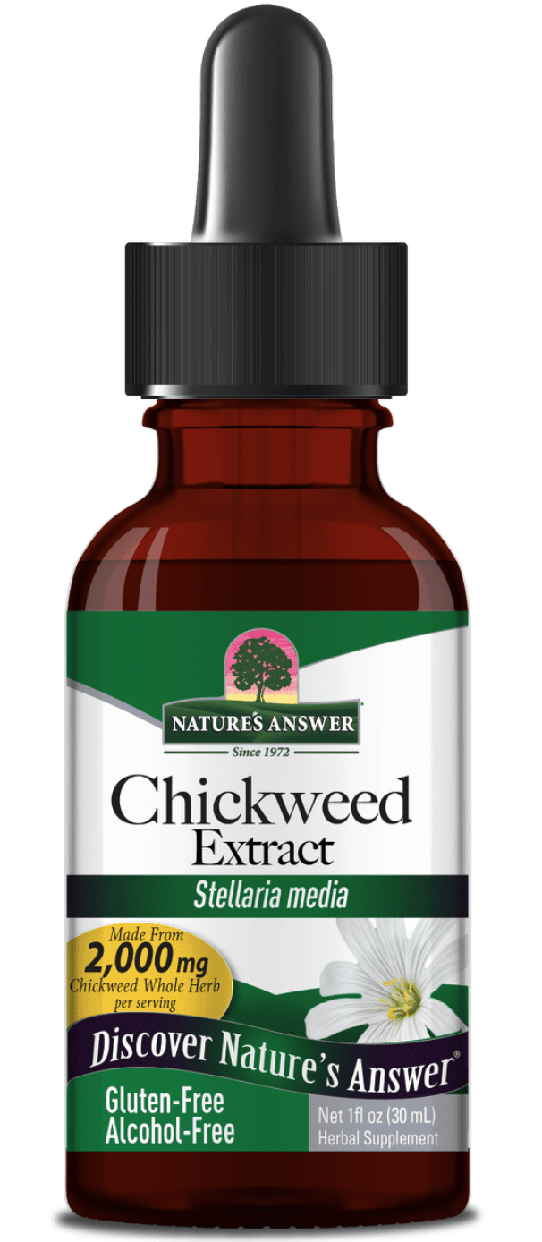 Nature's Answer Chickweed, ptačinec prostřední, extrakt, 30 ml