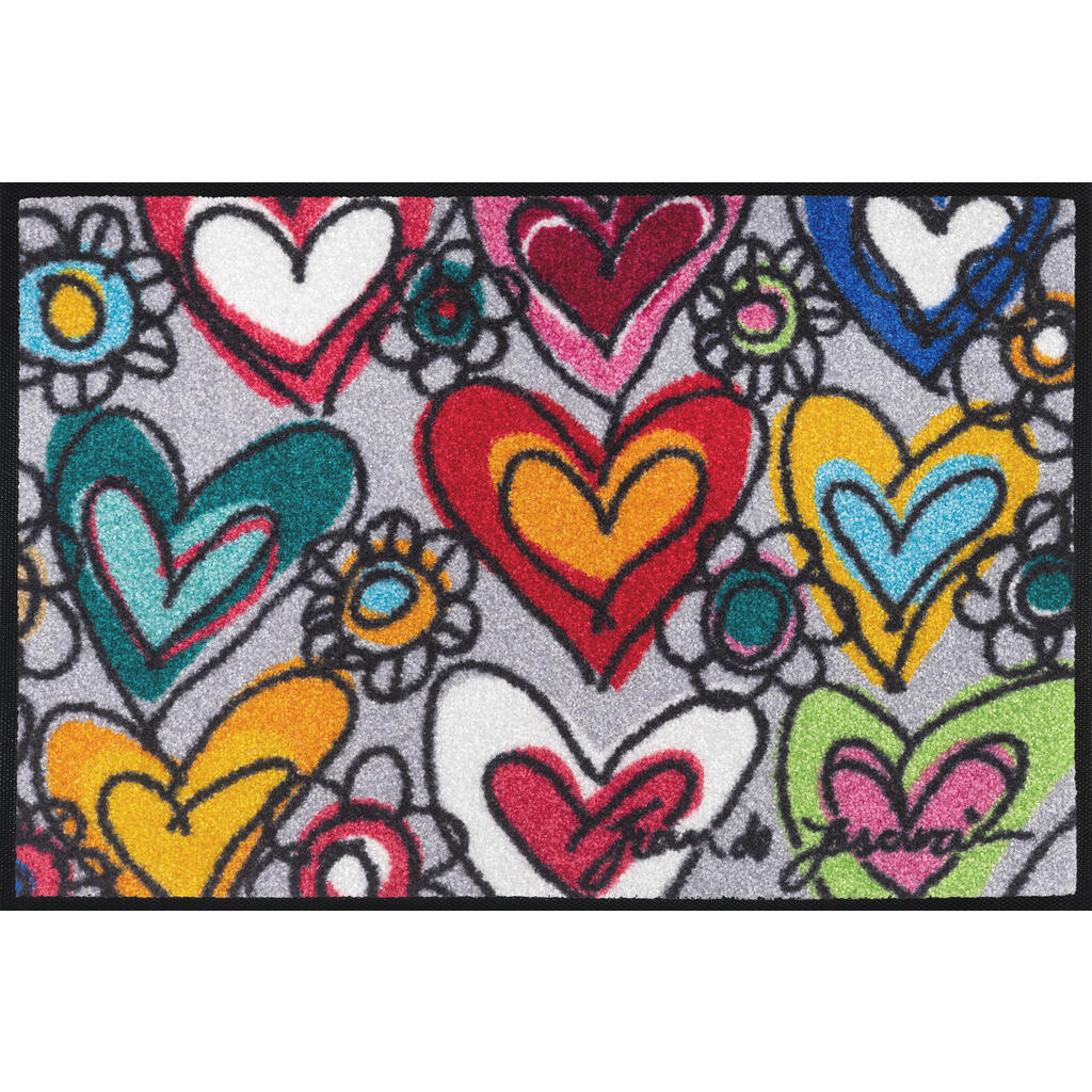 wash+dry DVEŘNÍ ROHOŽKA, 40/60 cm, šedá