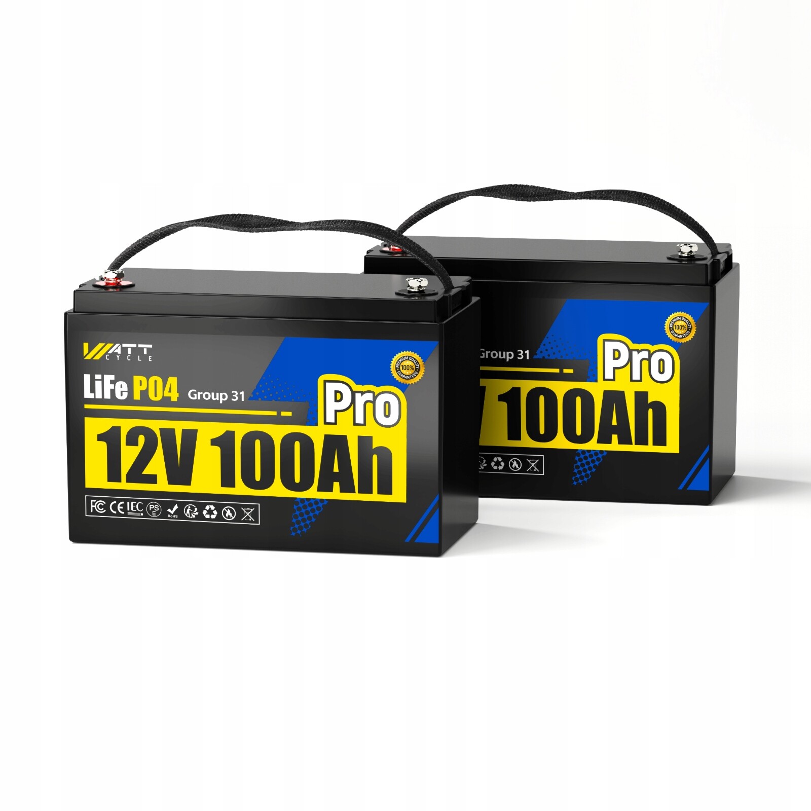 2*12V 100AH LiFePO4 Akumulátor Pro Lepší Než Agm 10 Let Životnosti S Bms