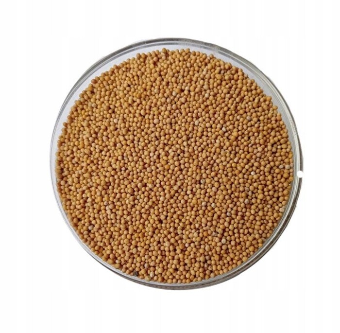 Hořčice bílá 25 kg