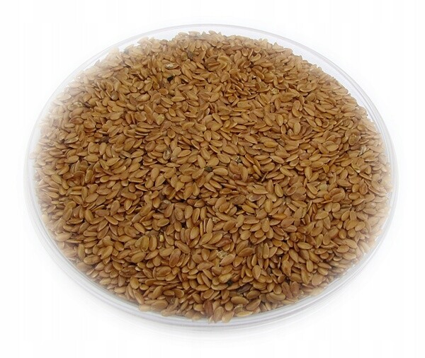 len zlatý semena 25 kg