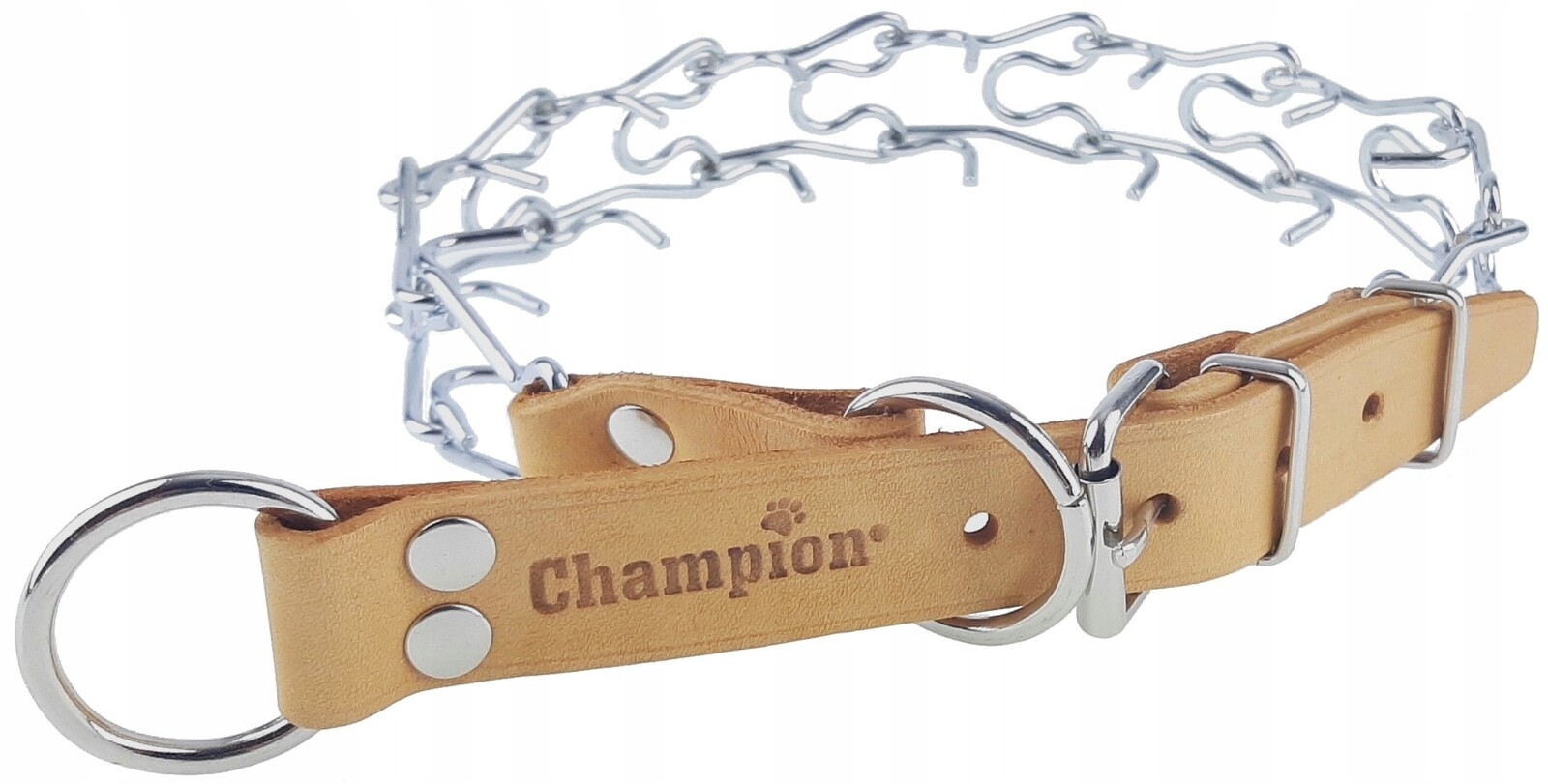 Ostnatý Obojek pro psa z Polska kůže Výrobce Champion R2 Orange