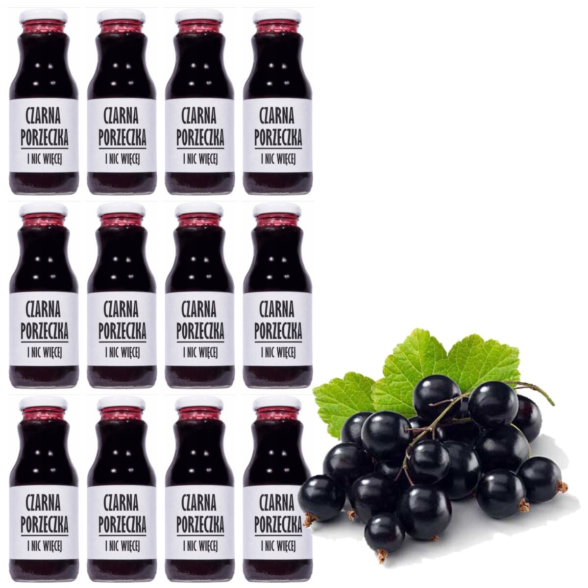 Černý rybízový džus 100% přírodní 250 ml x 12