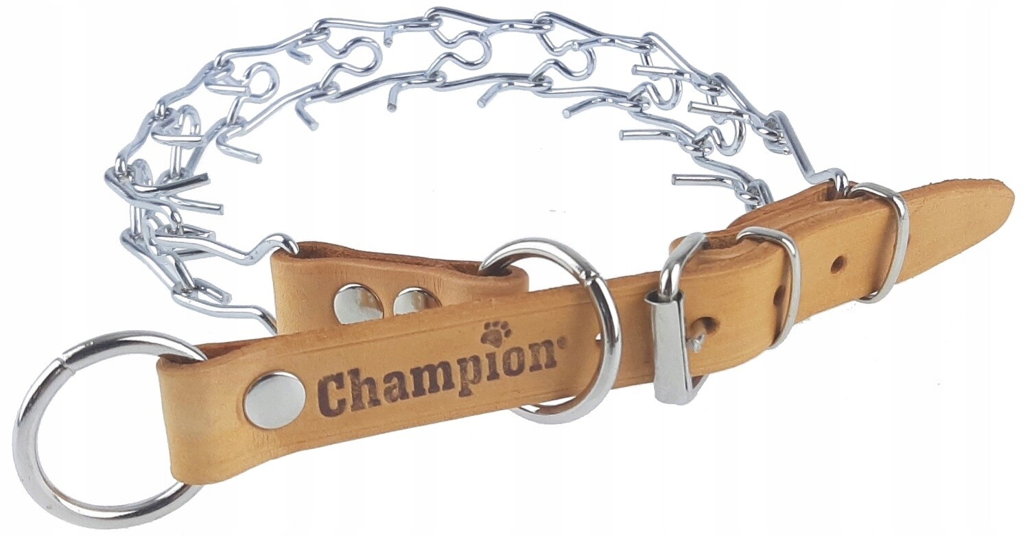 Ostnatý Obojek pro psa z kůže Polský Výrobce Champion R1 Orange