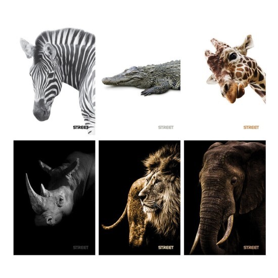 Zet servis Školní sešit 554 - Safari - A5, linkovaný, 54 listů