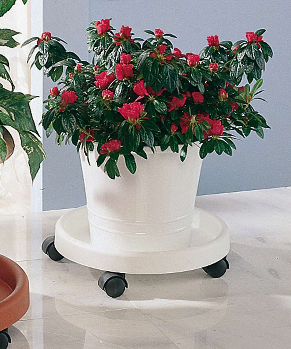 RUCO Miska pod květináč s kolečky, bílá