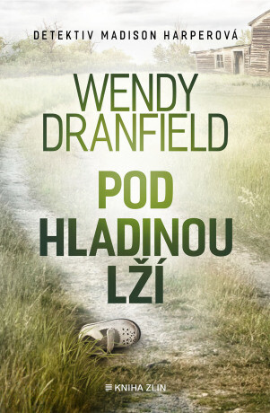 Pod hladinou lží - Wendy Dranfield - e-kniha