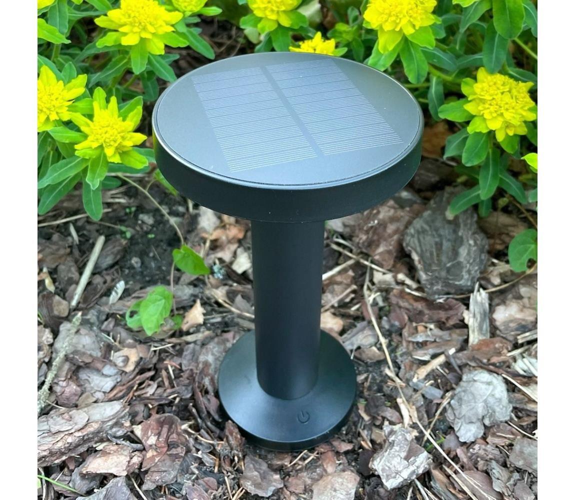 Zuma Line Zuma Line DT33611 - LED Solární lampa CARLI LED/2W/2000 mAh IP44 černá