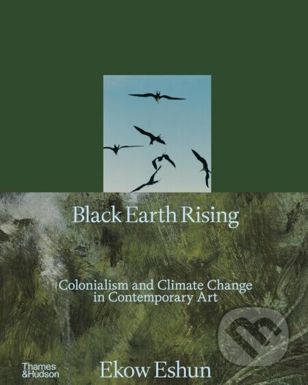 Black Earth Rising - Ekow Eshun