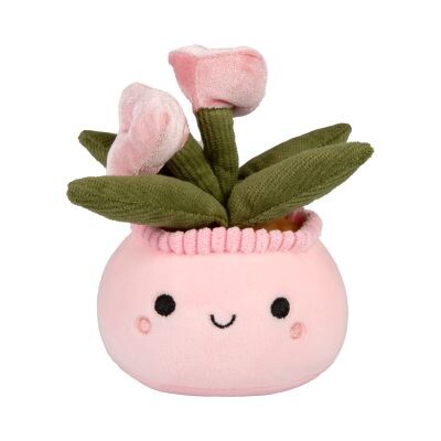 Malá plyšová květina - Sukulent Albi