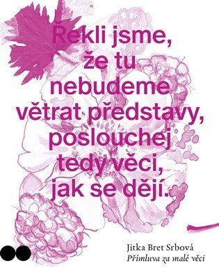 Přímluva za malé věci - Jitka Bret Srbová