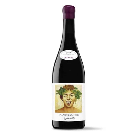 Panorámico Winners Garnacha Caracuesta 2018, Panoramatico, Rioja