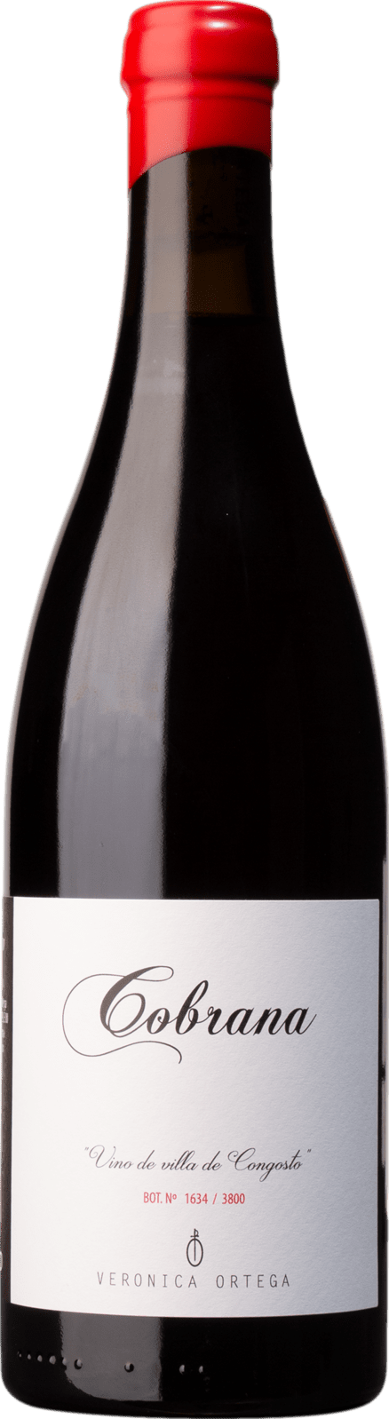 Veronica Ortega Cobrana 2022