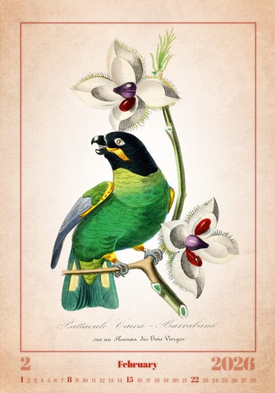 Aviarium 2026 - nástěnný kalendář