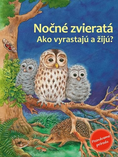Nočné zvieratá - Friederun Reichenstetter