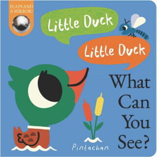 Little Duck! Little Duck! What Can You See? - Kate Ware