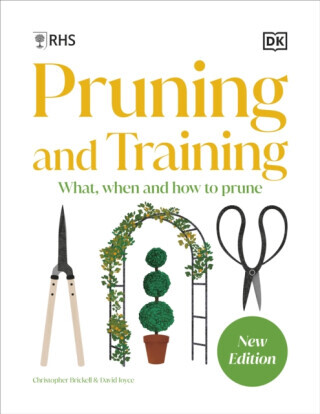 RHS Pruning and Training - DK