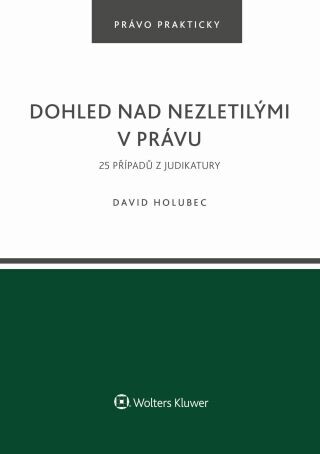 Dohled nad nezletilými v právu. 25 příkladů z judikatury - David Holubec - e-kniha