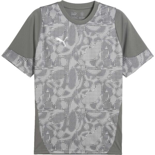 Puma TEAMCUP TRAINING JERSEY TEE Pánský dres, šedá, velikost