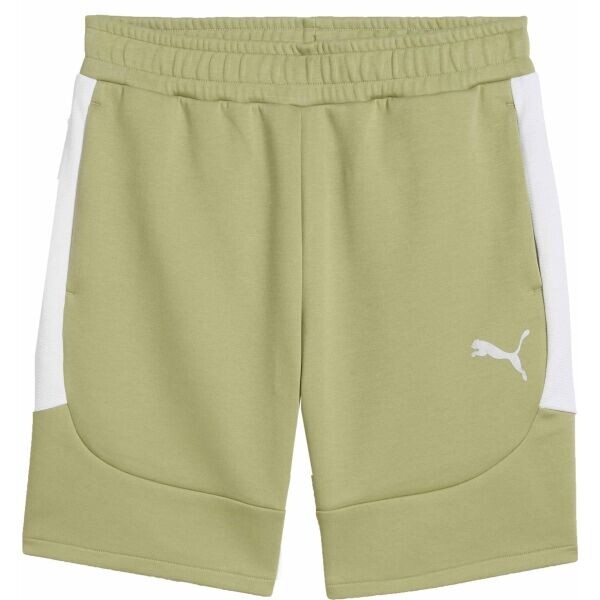 Puma TEAMEVOSTRIPESHORTS Pánské šortky, khaki, velikost